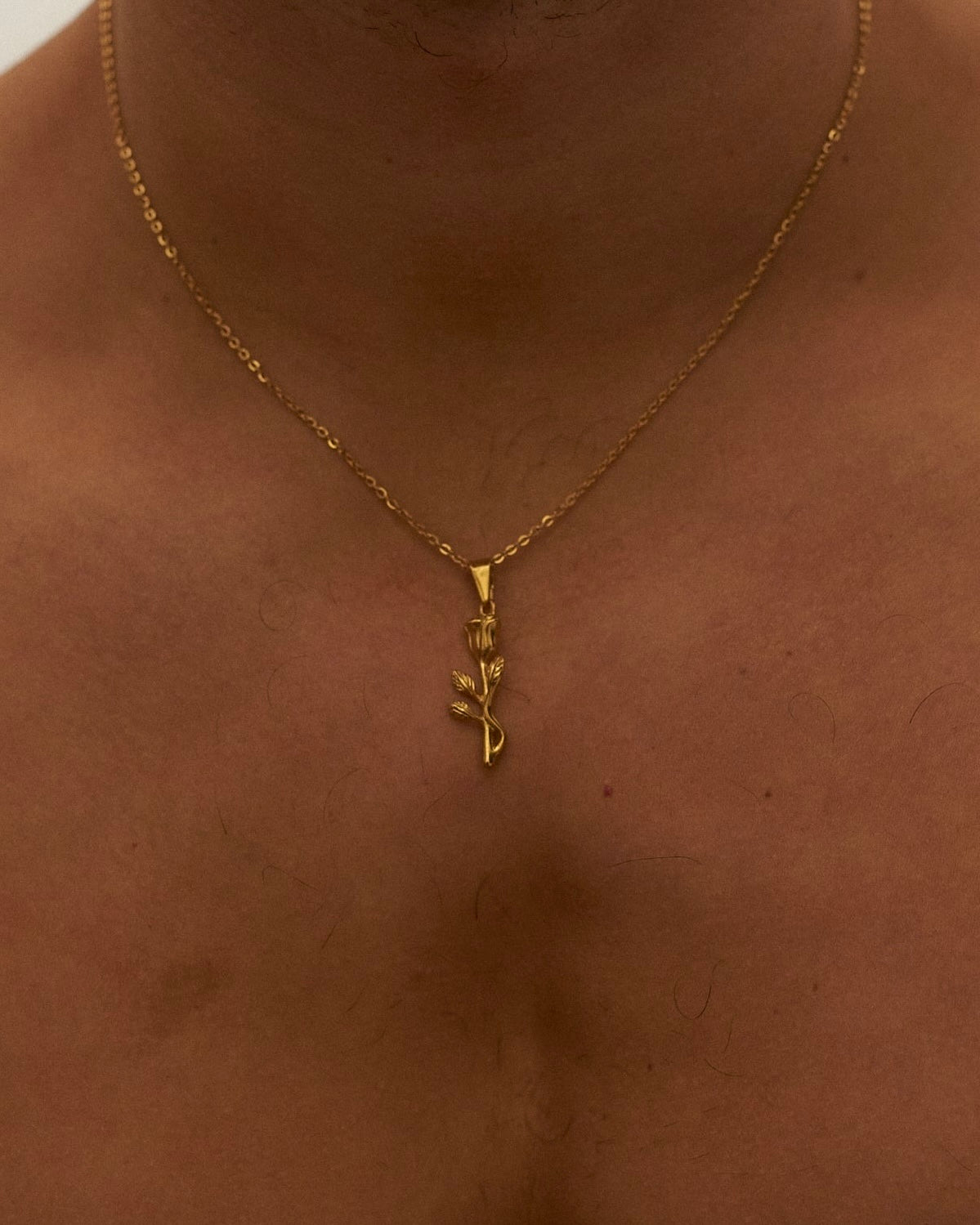 Bella Gold
