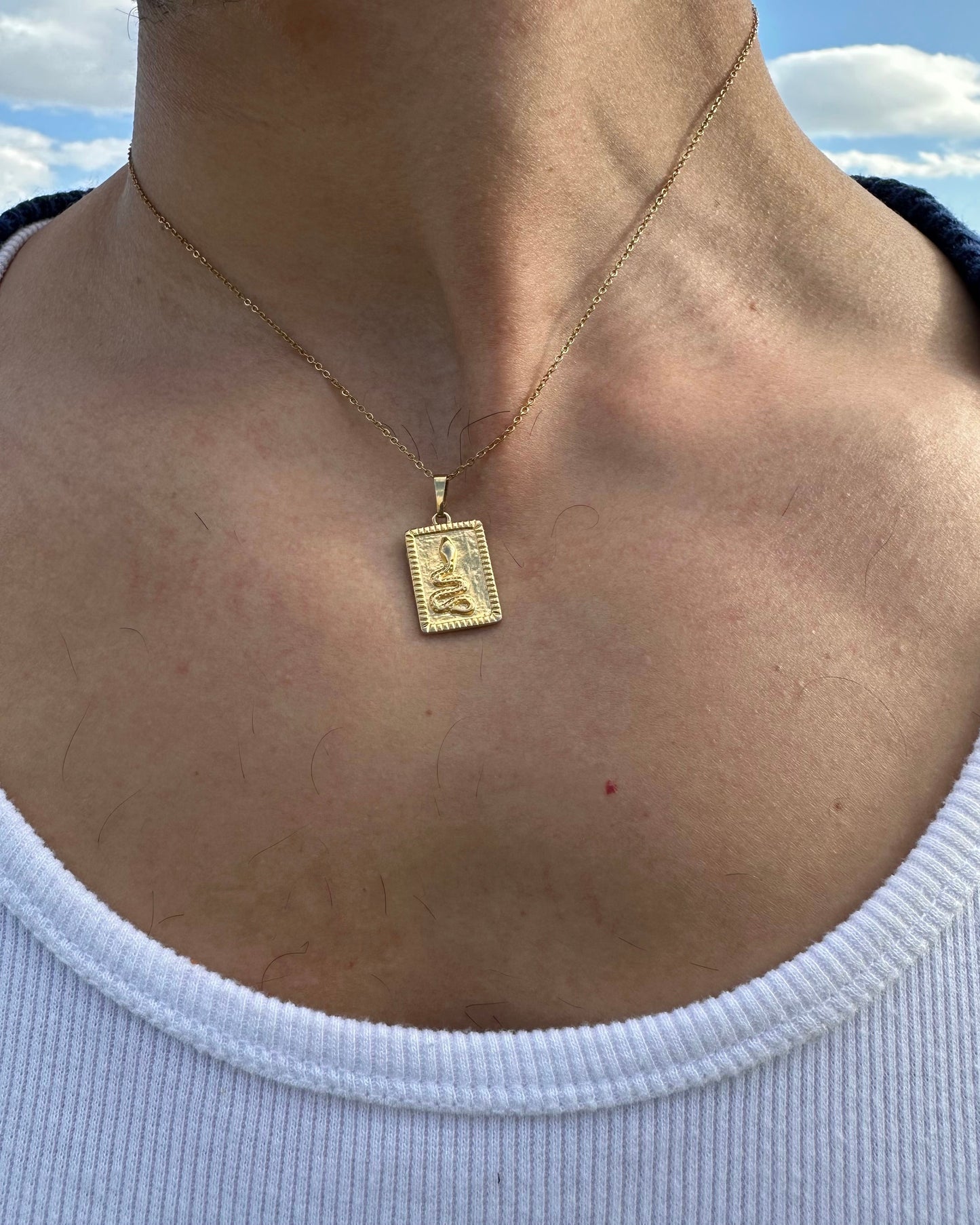 Gorgona Gold