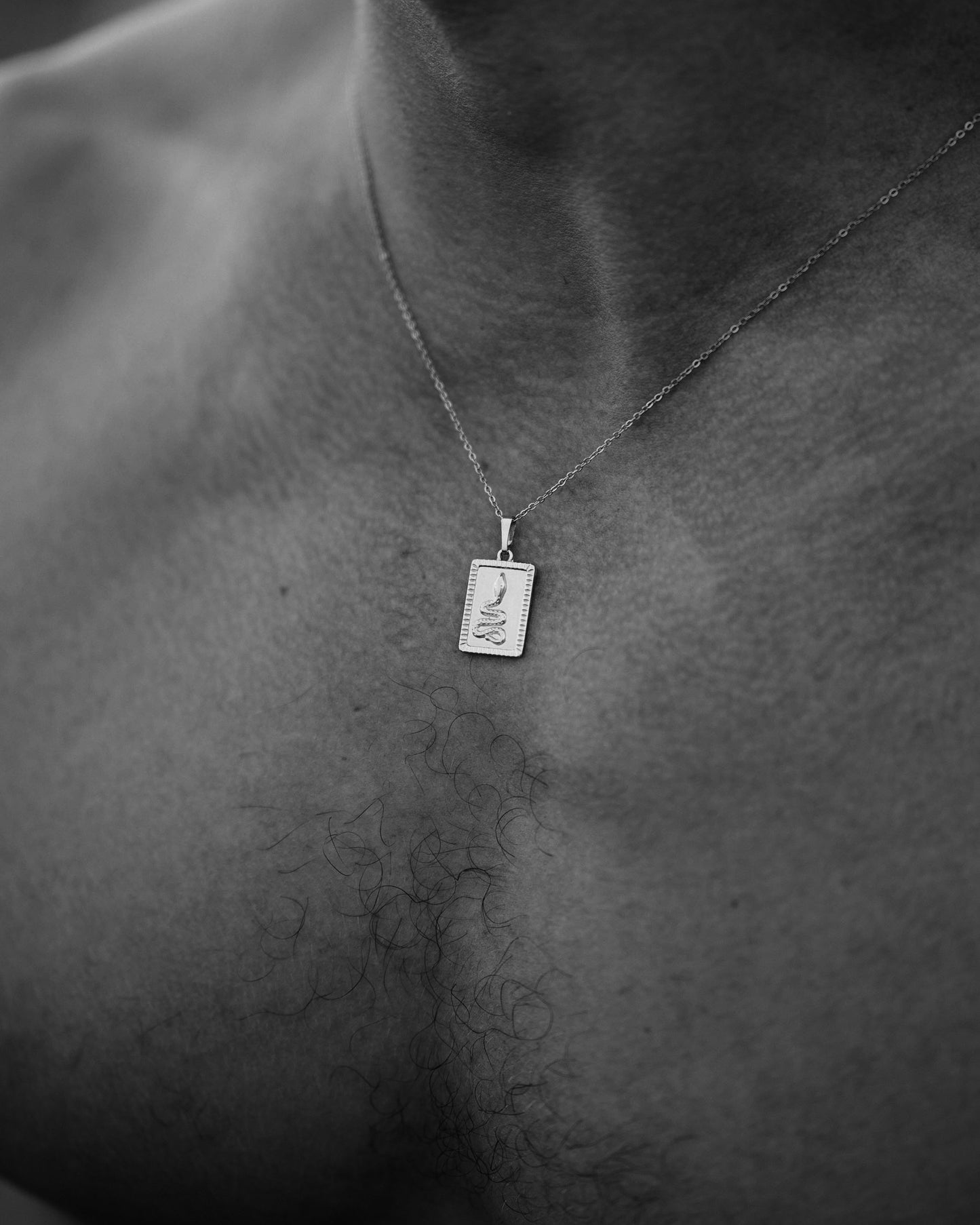Gorgona Silver