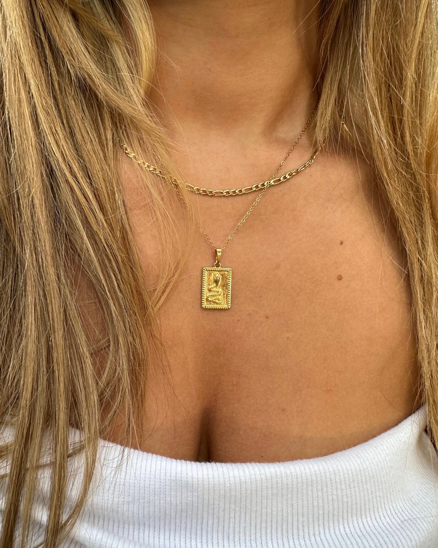 Gorgona Gold