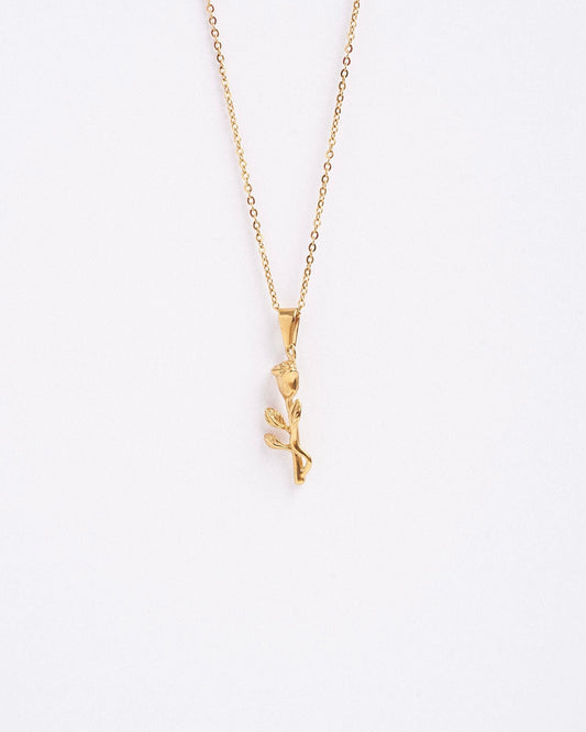 Bella Gold